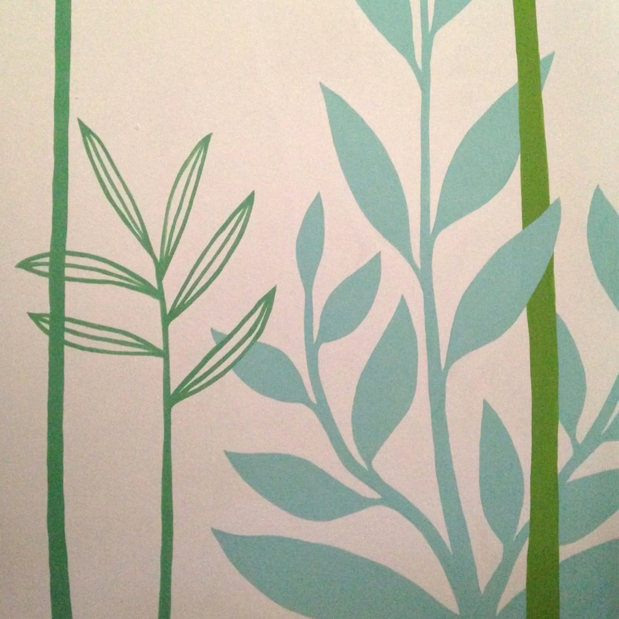 Plantes — photo 1