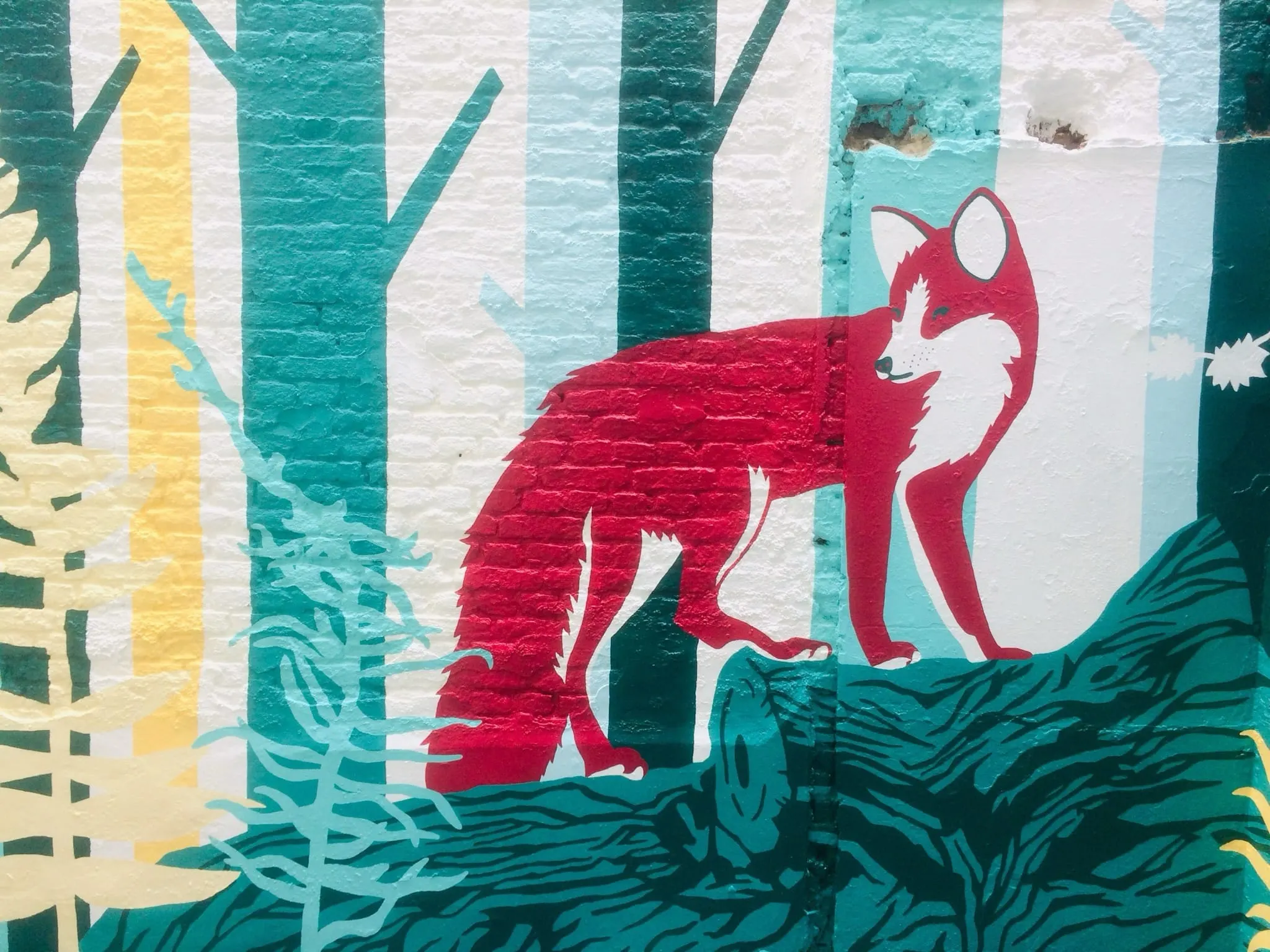 Le Renard — photo 1