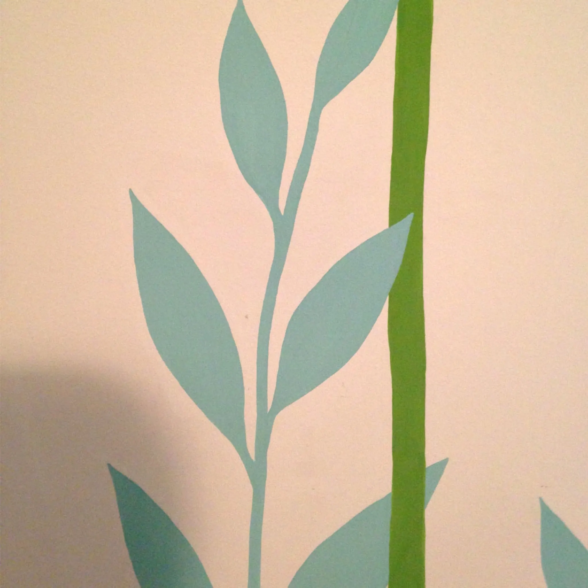 Plantes — photo 2