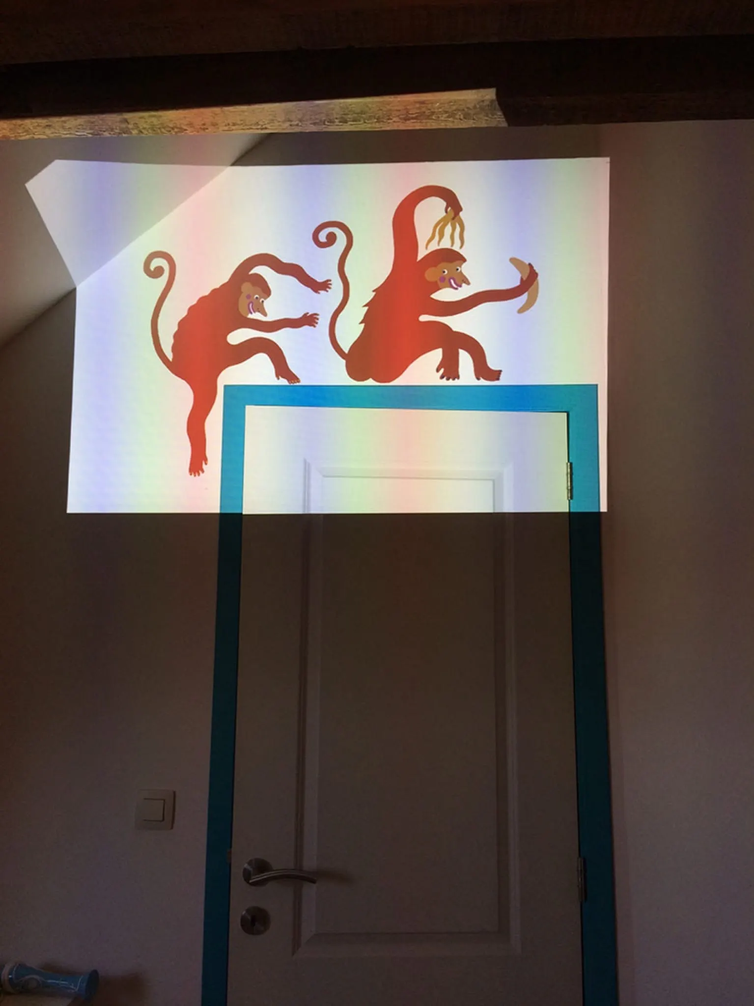 Animaux sauvages — photo 2