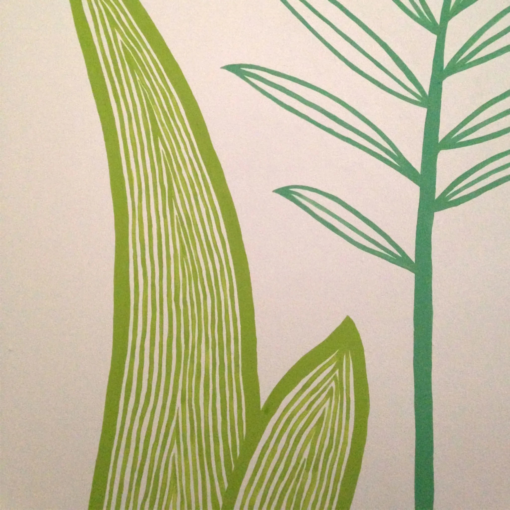 Plantes — photo 3