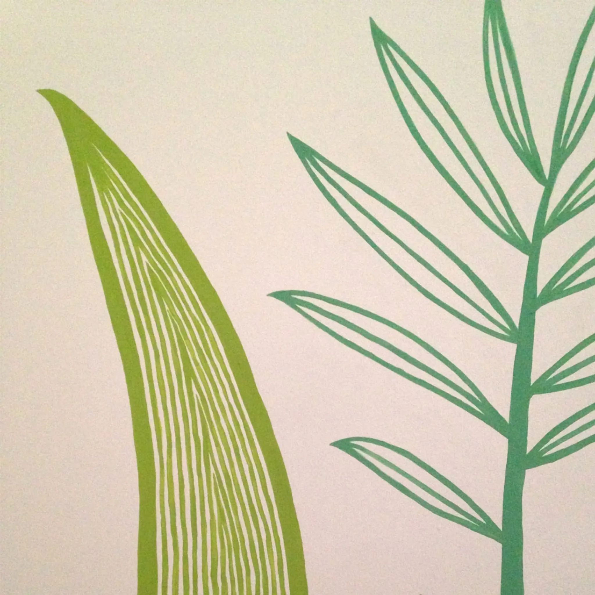 Plantes — photo 4