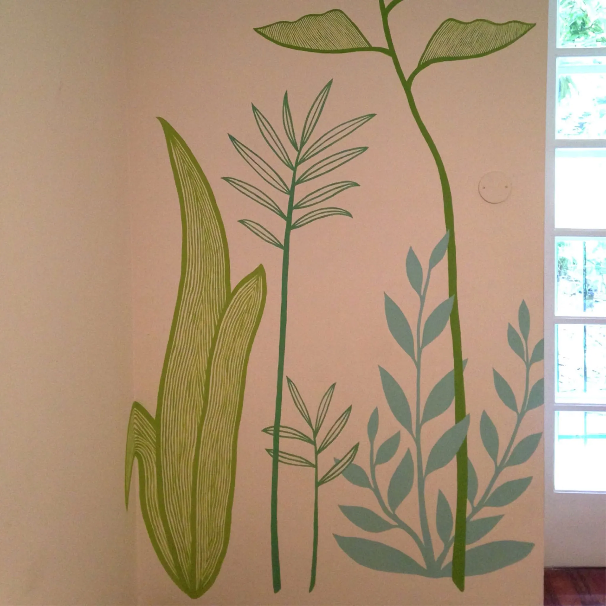 Plantes — photo 5