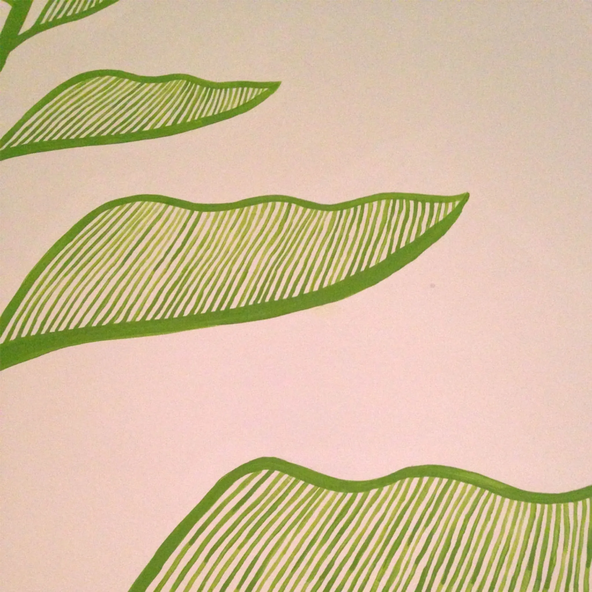 Plantes — photo 6