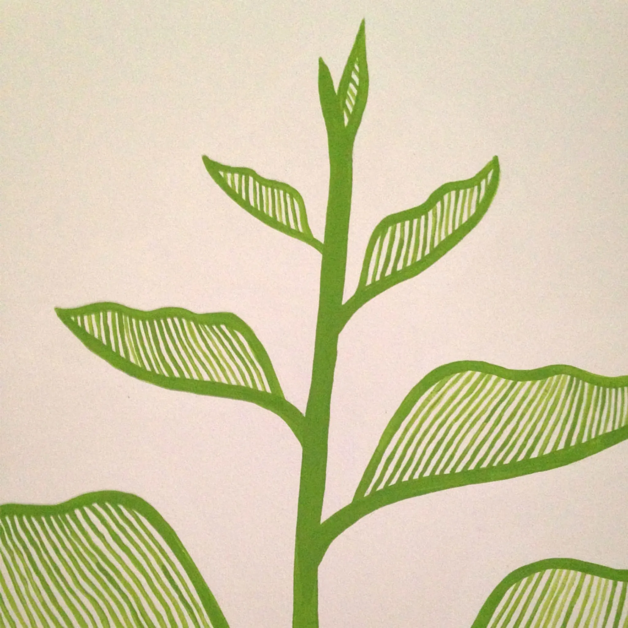 Plantes — photo 7