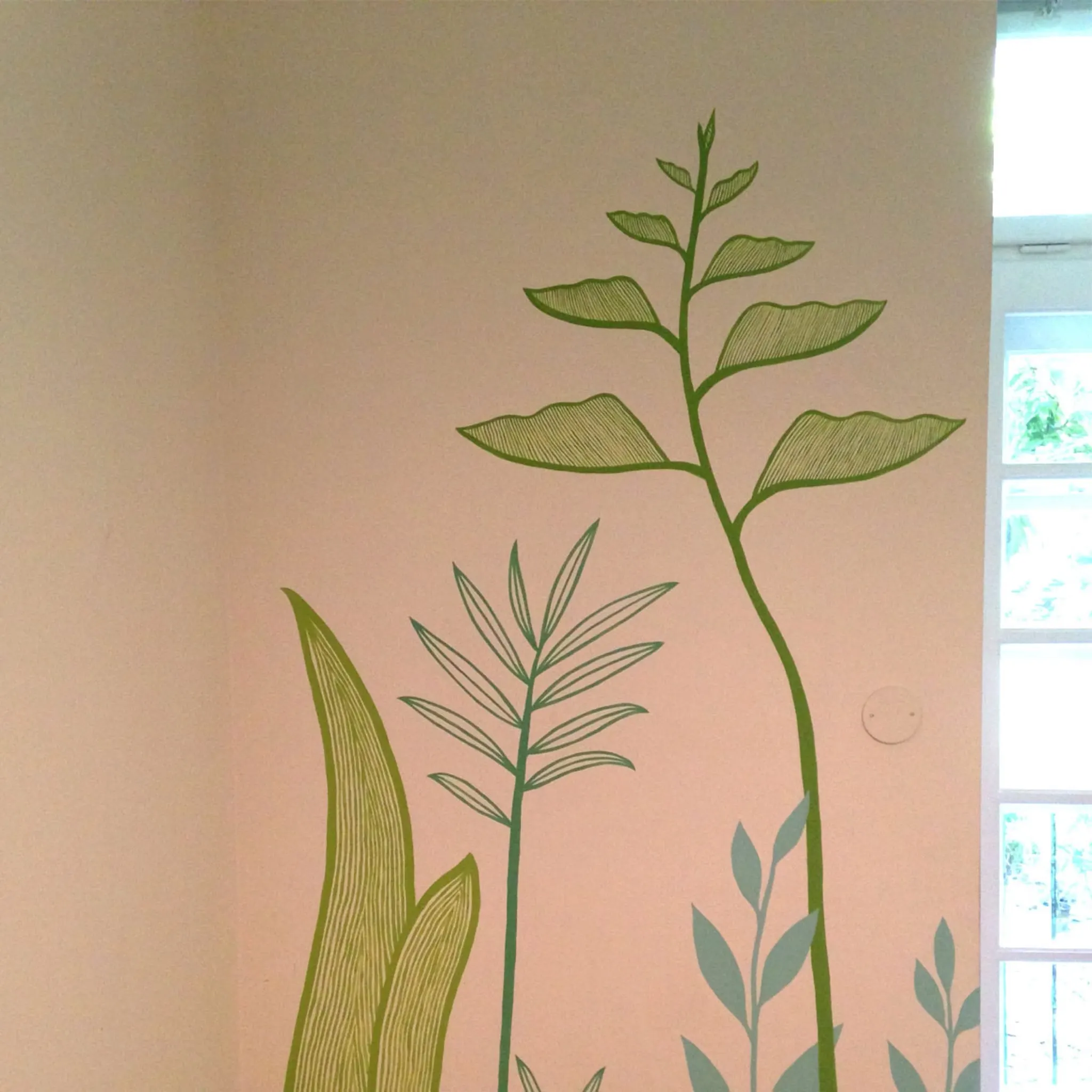 Plantes — photo 8
