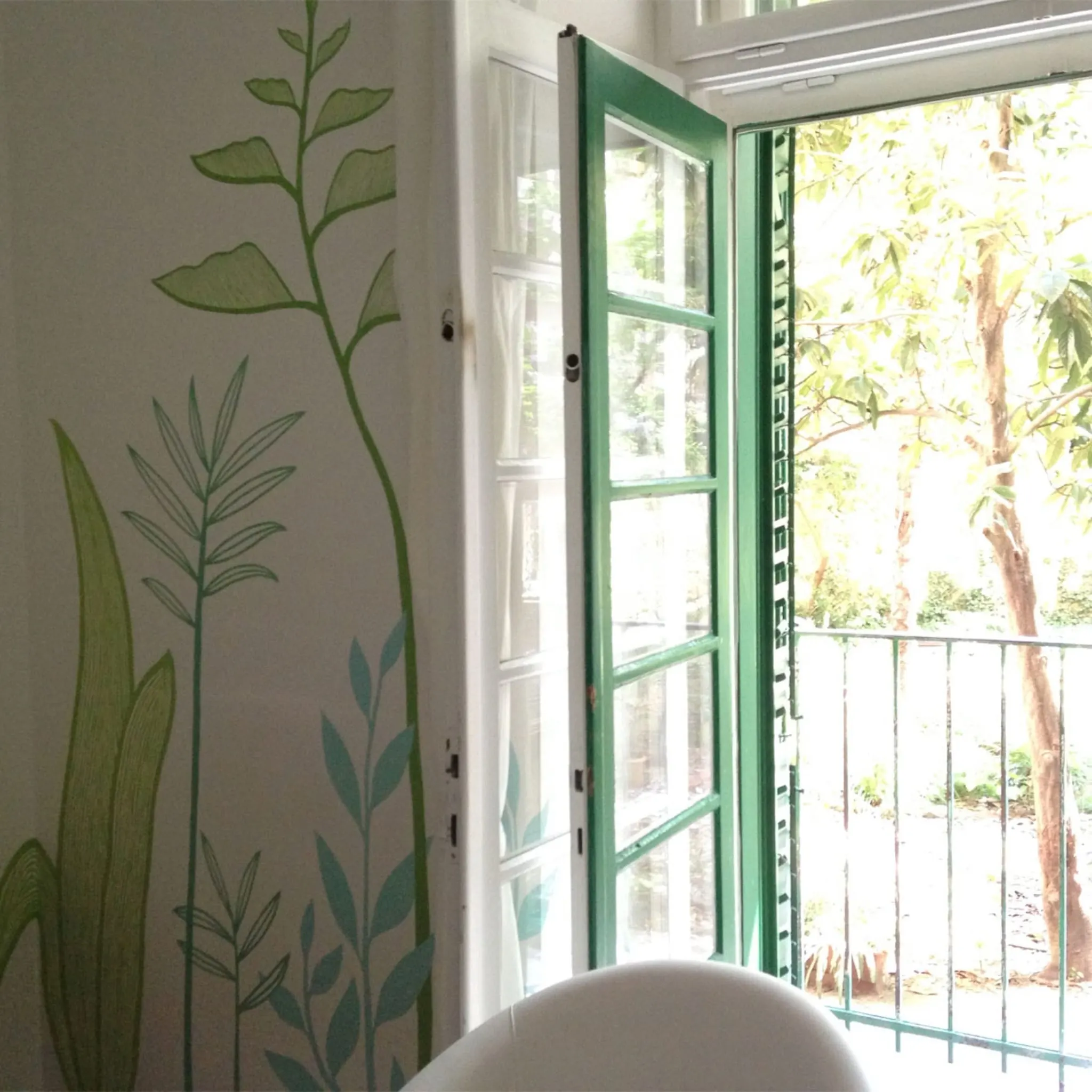 Plantes — photo 9