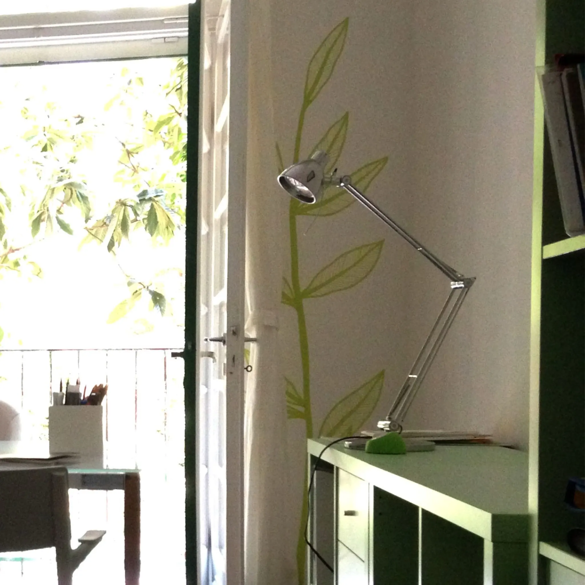 Plantes — photo 10