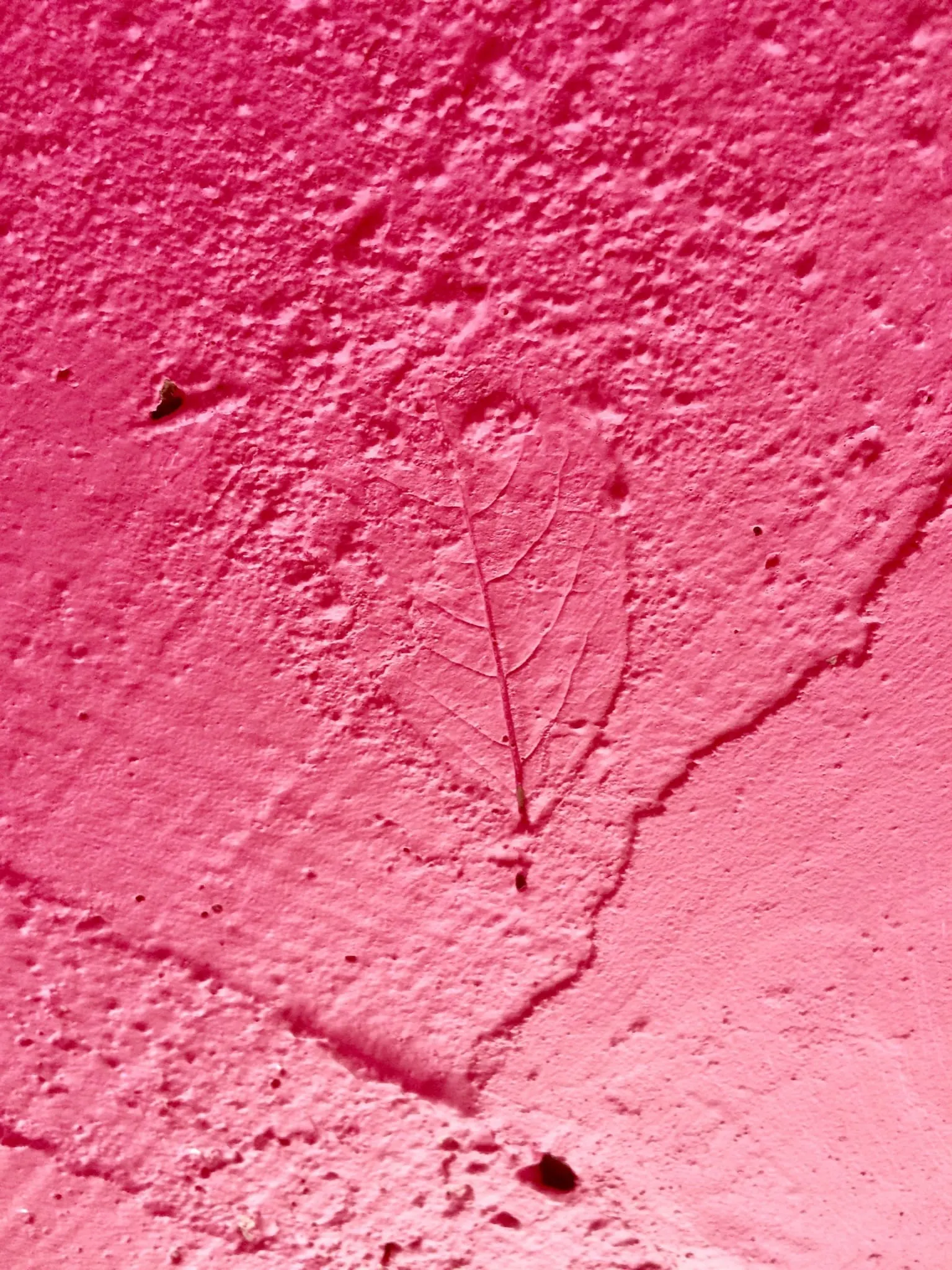 Carta suspendida — photo 18
